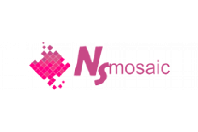 NS Mosaic