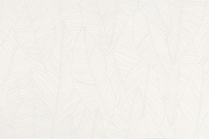 Настенная плитка A6FC Aplomb White Leaf 50x120 8,5мм Matte
