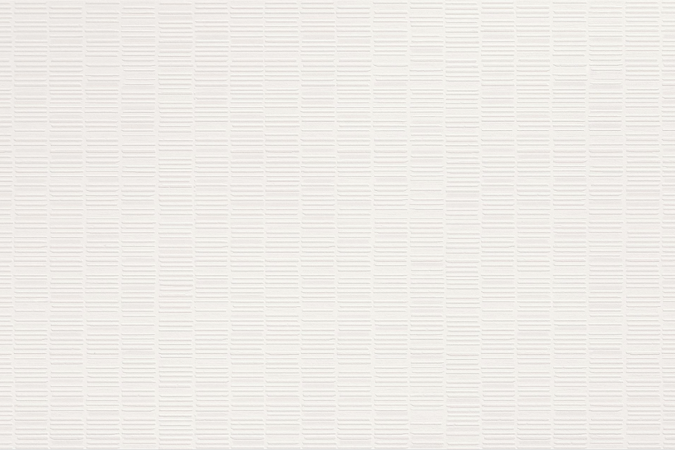 Настенная плитка A6FB Aplomb White Mesh 50x120 8,5мм Matte