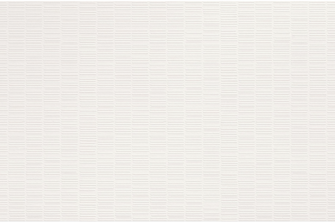 Настенная плитка A6FB Aplomb White Mesh 50x120 Matte