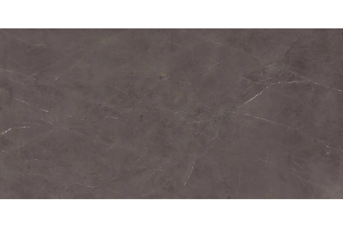 Фото Керамогранит AJHF Precious Brown Silk - 12mm ST SILK - 1