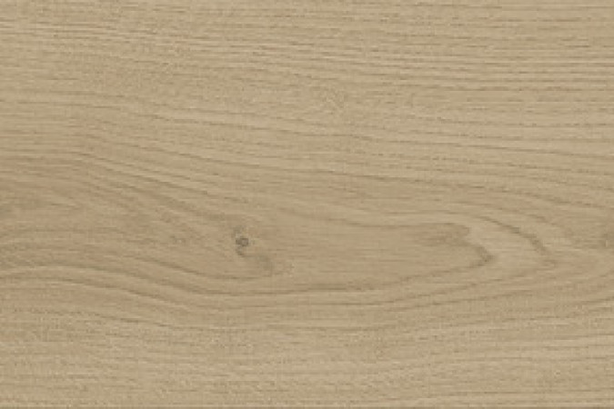 Фото Керамогранит A8YE Entice Ash Oak Elegant 18,5x150 Matte 9мм - 2
