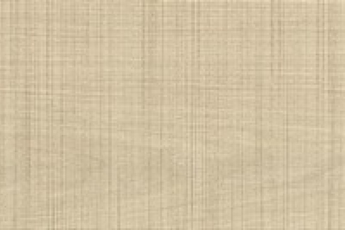 Фото Керамогранит HB8J Log Select Ivory Sawn 20x120 9мм матовый - 1