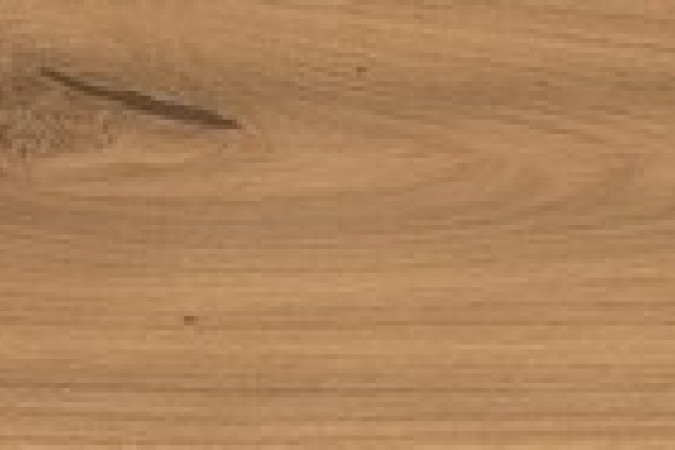 Фото Керамогранит AX5Y Log Amber Oak Forest 20x180 9,5мм Matt - 1