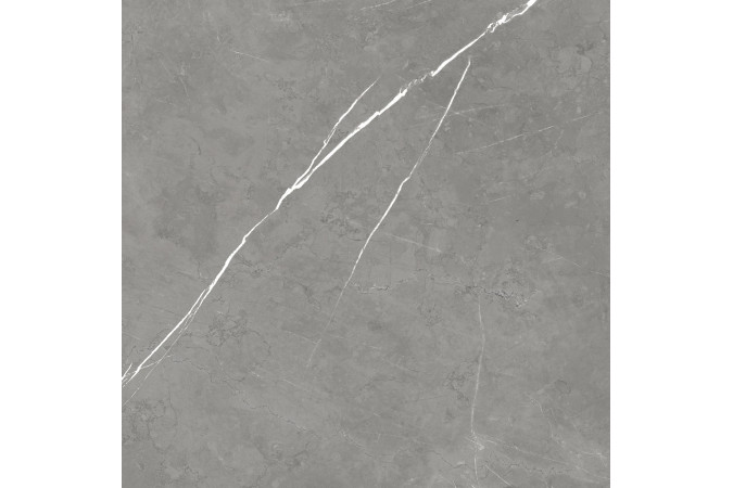 Фото Керамогранит 610010002718 FORTE DEI MARMI Elegant Grey 800x800 Matt - 1
