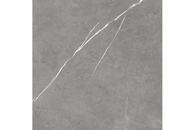 Фото Керамогранит 610010002724 FORTE DEI MARMI Elegant Grey 600x600 Matt Lastra 20mm - 1