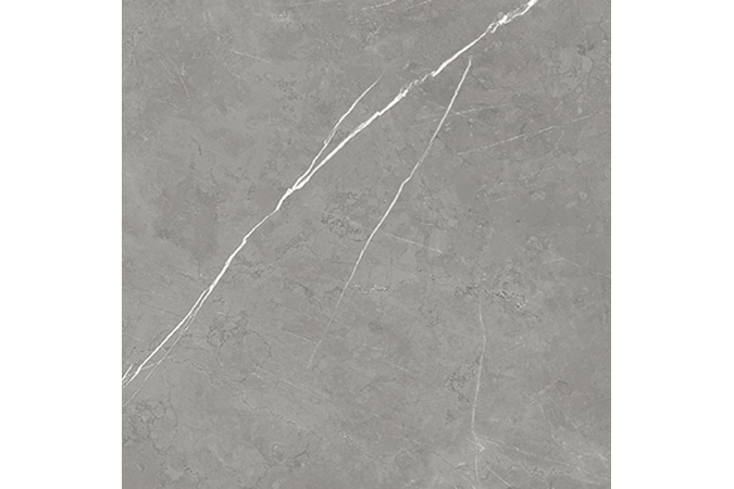 Фото Керамогранит 600010002407 FORTE DEI MARMI Elegant Grey 1200x1200 Matt - 2