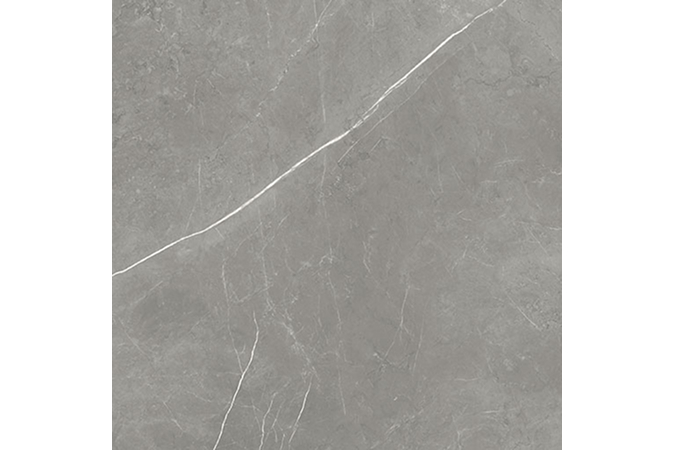 Фото Керамогранит 600010002407 FORTE DEI MARMI Elegant Grey 1200x1200 Matt - 24