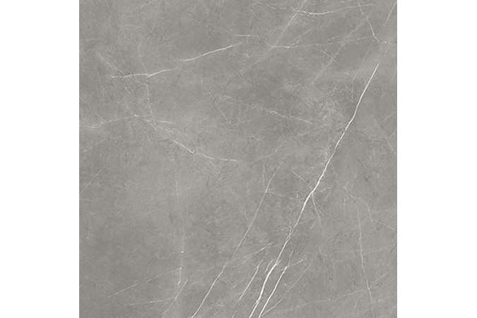 Фото Керамогранит 600010002407 FORTE DEI MARMI Elegant Grey 1200x1200 Matt - 18
