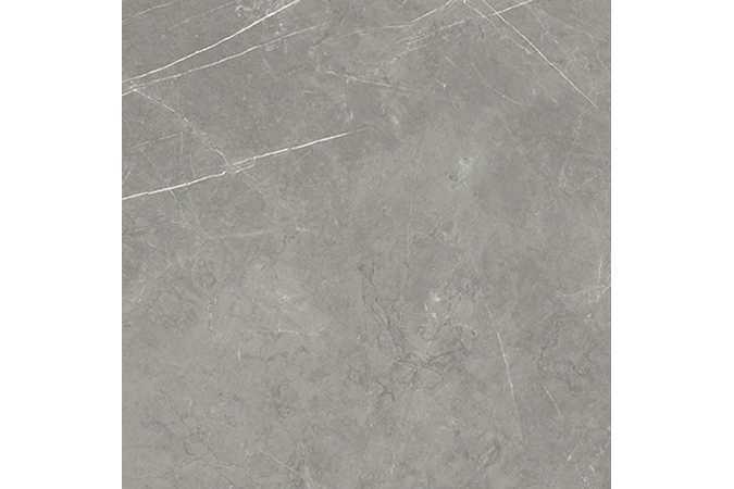 Фото Керамогранит 600010002407 FORTE DEI MARMI Elegant Grey 1200x1200 Matt - 16