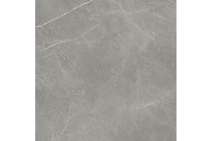Фото Керамогранит 600010002407 FORTE DEI MARMI Elegant Grey 1200x1200 Matt - 10