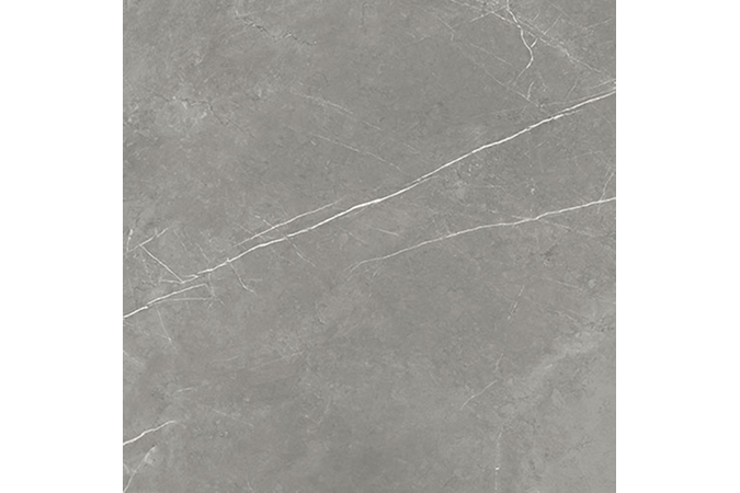 Фото Керамогранит 600010002407 FORTE DEI MARMI Elegant Grey 1200x1200 Matt - 42