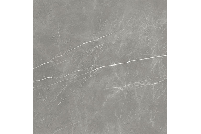 Фото Керамогранит 600010002407 FORTE DEI MARMI Elegant Grey 1200x1200 Matt - 38