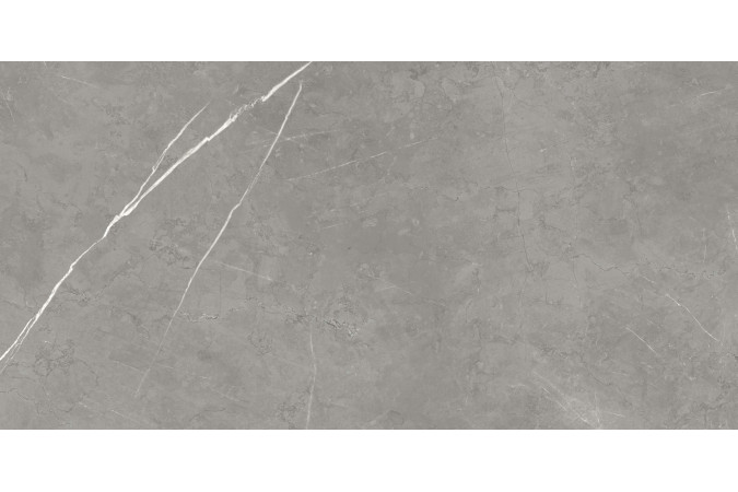 Фото Керамогранит 610015000657 FORTE DEI MARMI Elegant Grey 600x1200 Matt - 1