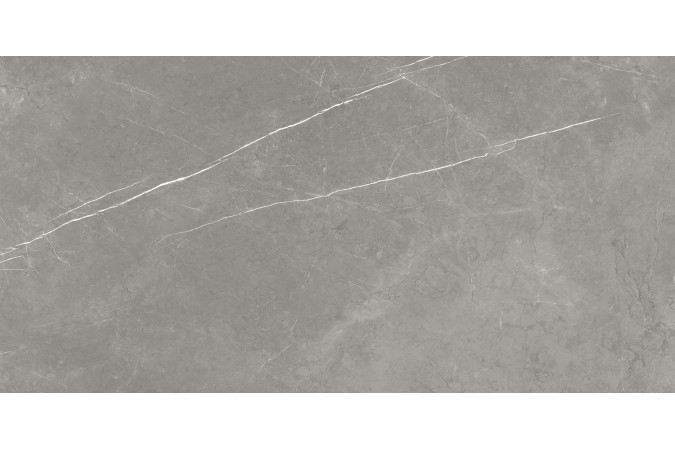 Фото Керамогранит 610015000657 FORTE DEI MARMI Elegant Grey 600x1200 Matt - 4