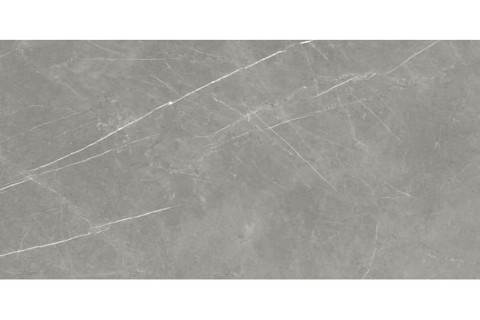 Фото Керамогранит 610015000657 FORTE DEI MARMI Elegant Grey 600x1200 Matt - 10