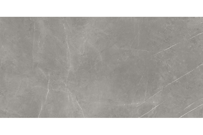 Фото Керамогранит 610015000657 FORTE DEI MARMI Elegant Grey 600x1200 Matt - 18