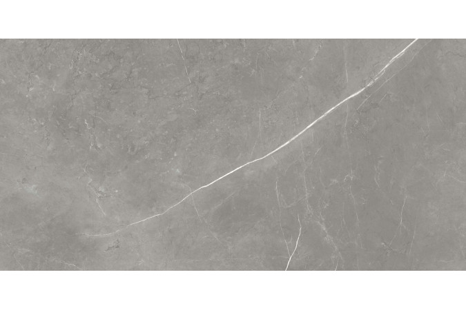 Фото Керамогранит 610015000657 FORTE DEI MARMI Elegant Grey 600x1200 Matt - 20