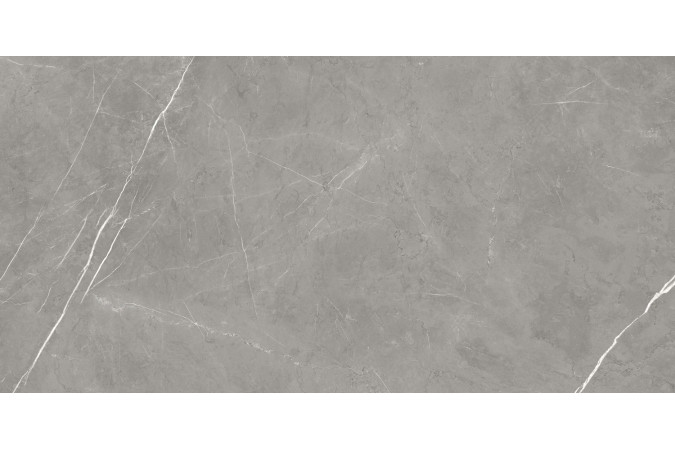 Фото Керамогранит 610015000657 FORTE DEI MARMI Elegant Grey 600x1200 Matt - 24