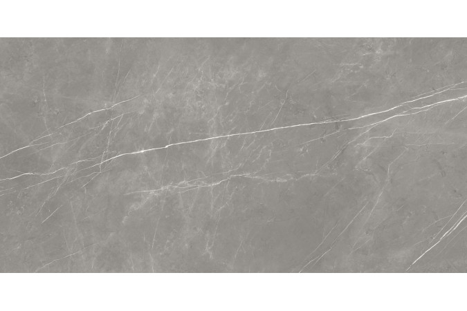 Фото 610015000665 Elegant Grey FORTE DEI MARMI серый 80x160 лаппатированный - 8