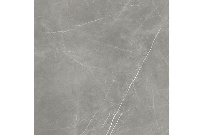 Фото Керамогранит 610015000649 FORTE DEI MARMI Elegant Grey 800x800 Lappato - 50