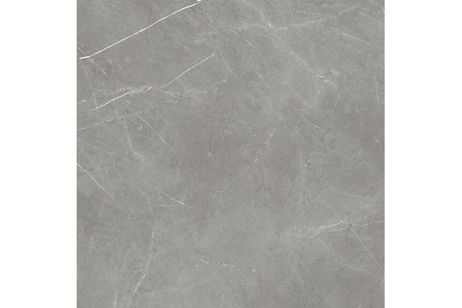Фото Керамогранит 610015000649 FORTE DEI MARMI Elegant Grey 800x800 Lappato - 40