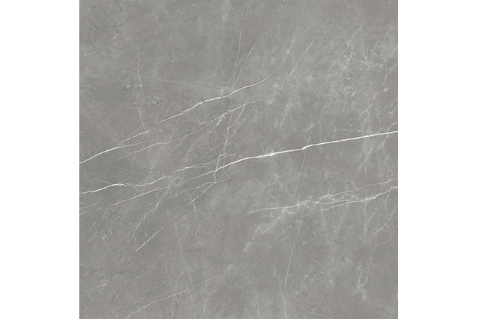 Фото Керамогранит 610015000649 FORTE DEI MARMI Elegant Grey 800x800 Lappato - 18