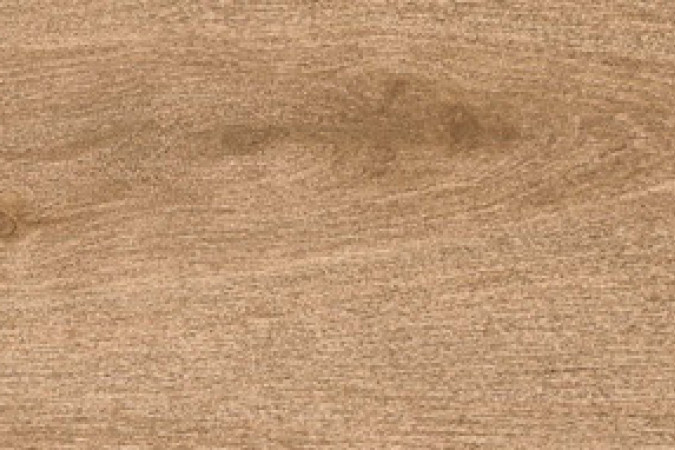 Фото Керамогранит 610010002705 Вайн Оак Шардоне / Wine Oak Chardonnay 20x160 9мм матовый - 20