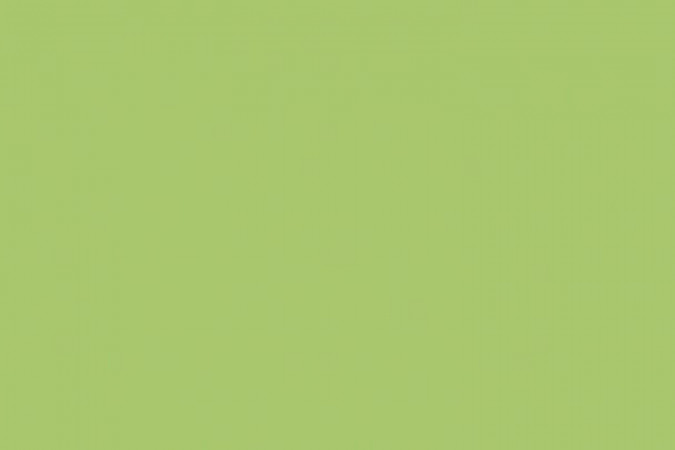 Настенная плитка палитра зеленая 200x500 Azori