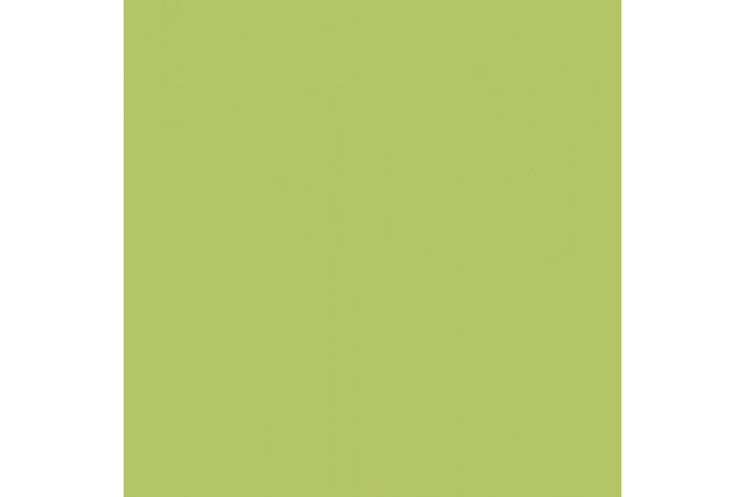 YC93 YourColor Зеленый 60x60 матовый