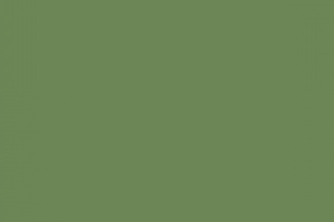 Фото GTF475 Feeria Водорослевый зелёный / Algae green 60x60 10мм матовый - 1