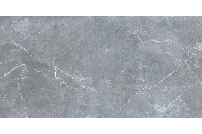 Фото GRS02-16 Northern Silver cеверное серебро 60x120 матовый - 6