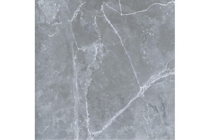 Фото GRS02-16 Northern Silver cеверное серебро 60x60 матовый - 6