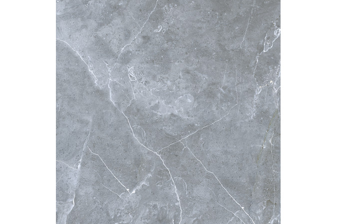 Фото GRS02-16 Northern Silver cеверное серебро 60x60 матовый - 12
