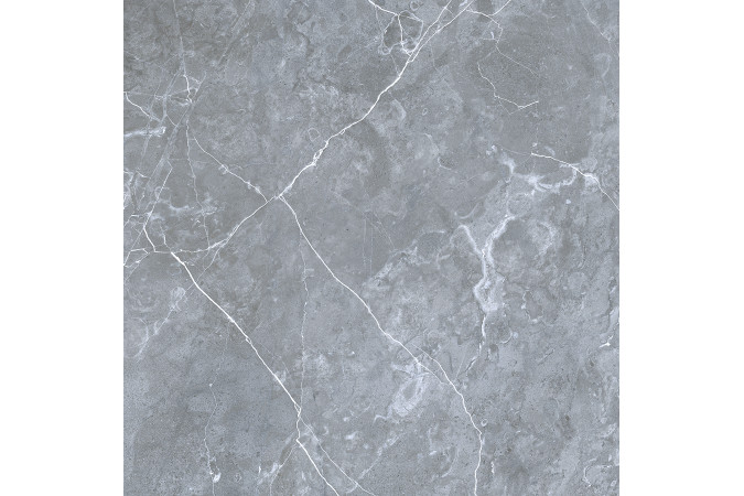 Фото GRS02-16 Northern Silver cеверное серебро 60x60 матовый - 16