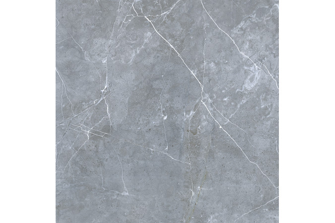 Фото GRS02-16 Northern Silver cеверное серебро 60x60 матовый - 20