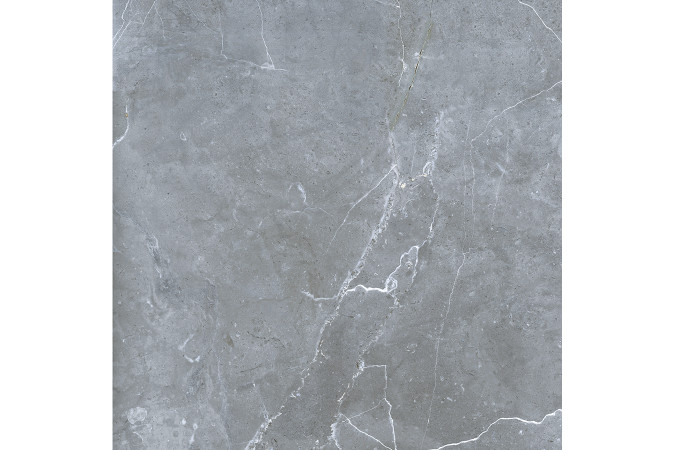 Фото GRS02-16 Northern Silver cеверное серебро 60x60 матовый - 26