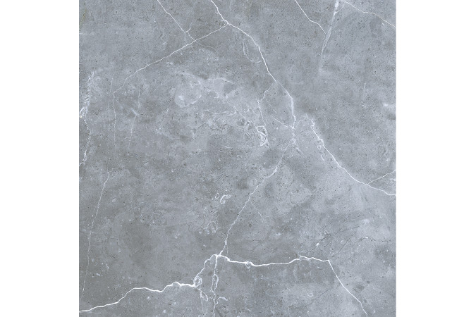 Фото GRS02-16 Northern Silver cеверное серебро 60x60 матовый - 28