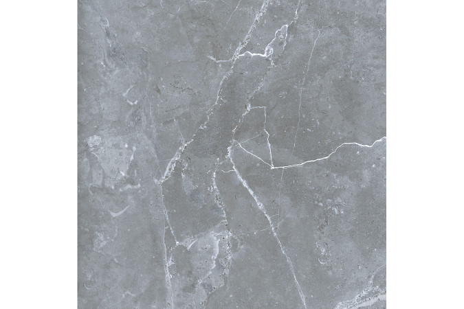 Фото GRS02-16 Northern Silver cеверное серебро 60x60 матовый - 30