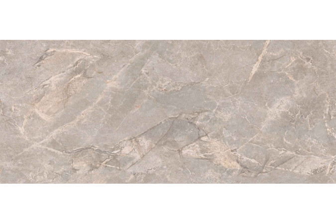 Fiori Di Bosco Polished Porcelain Tile 120X280
