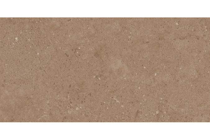 Фото Керамогранит Newport NP03 коричневый 60.9x30.6 - 1