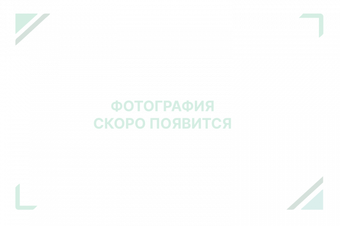 Керамогранит C-STONE GREY 100х300см matt 3мм на сетке 